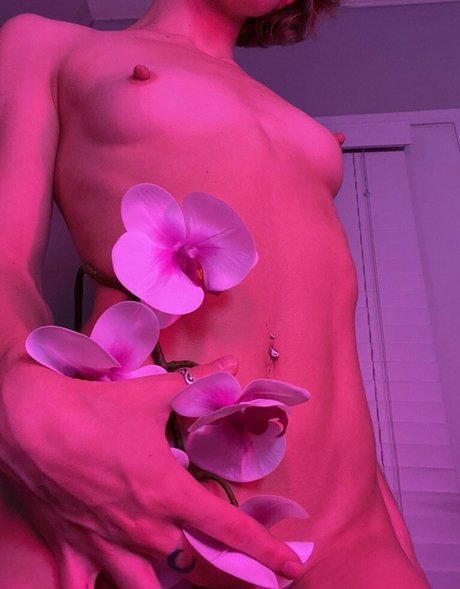 paigecams pornostar nette fotos