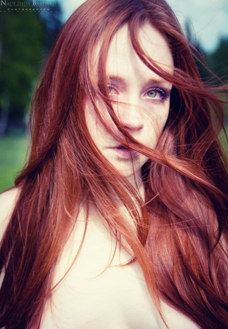 Margaritadirge schöne top bilder