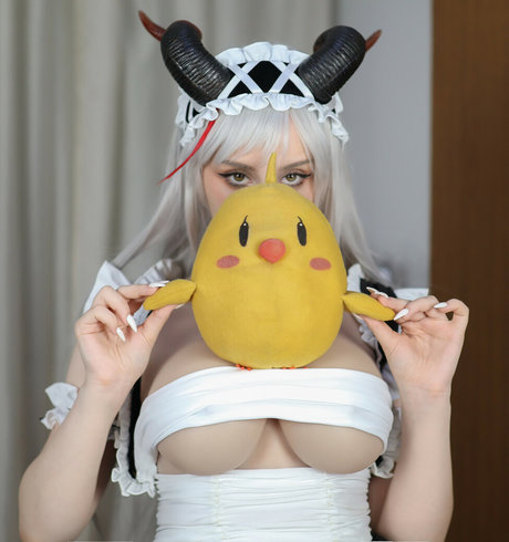 asiatische kätzchen nur fans hd kunst bild