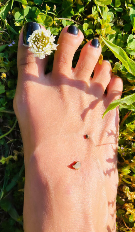 WokiesASMR hd hübsche bilder