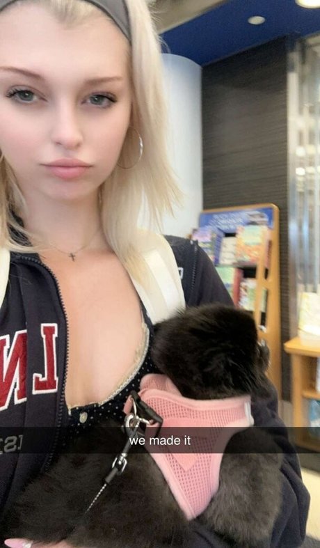 turnschuhe nur fans kunst exklusive archiv