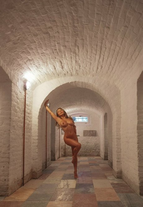 bbw brünette nur fans hd kostenlose bild