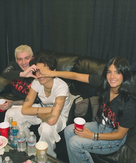 Charli D Amelio model erwachsene bilder