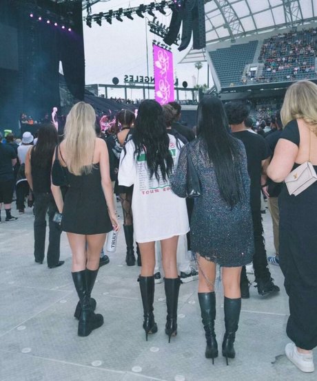 Charli D Amelio kunst erotische archiv