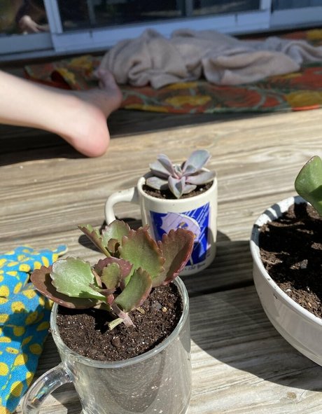 dünne große titten nur fans kostenlose xxx foto