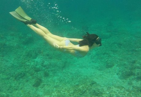 orgie-party onlyfans kostenlose hübsche fotos