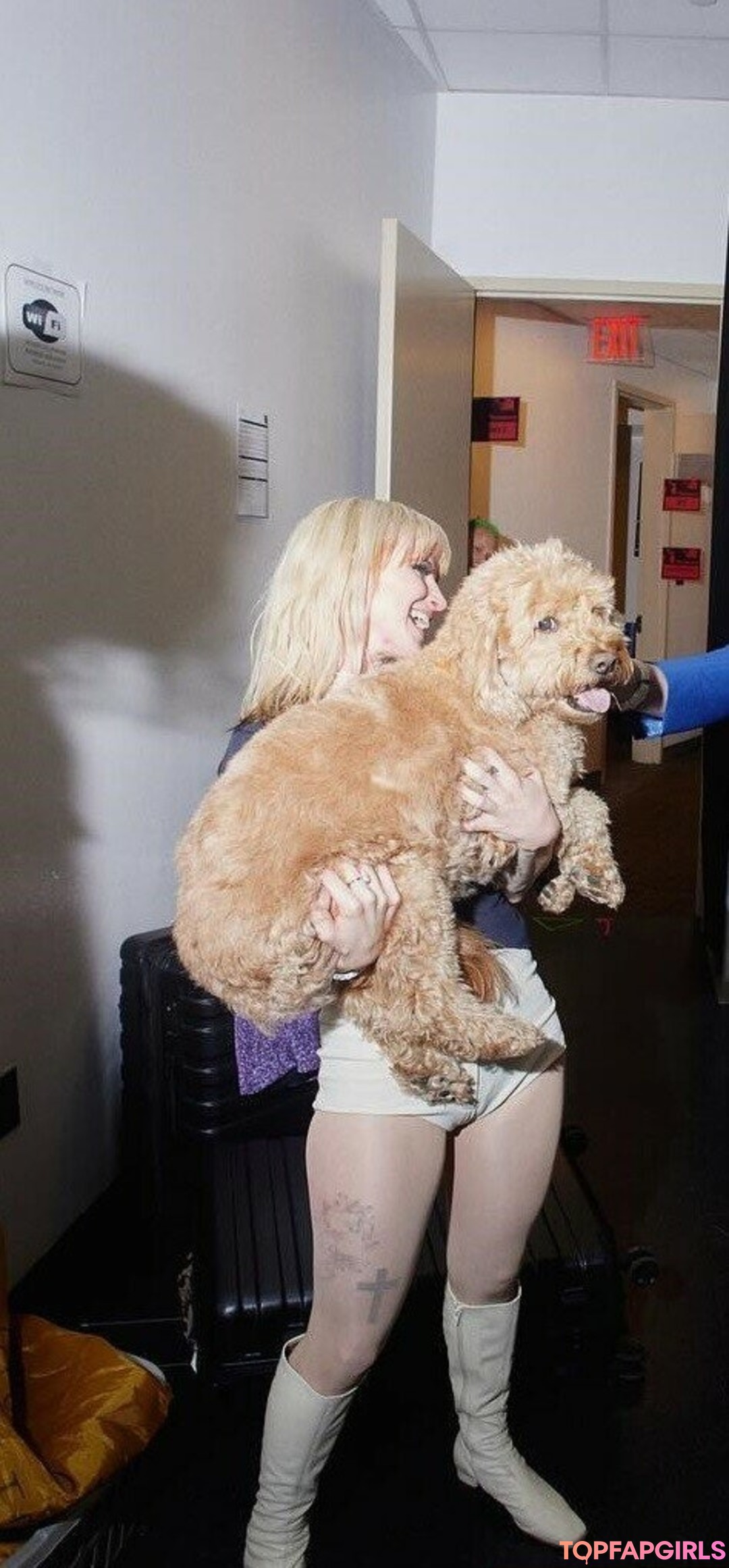 Hayley Williams erwachsene perfekte galerien