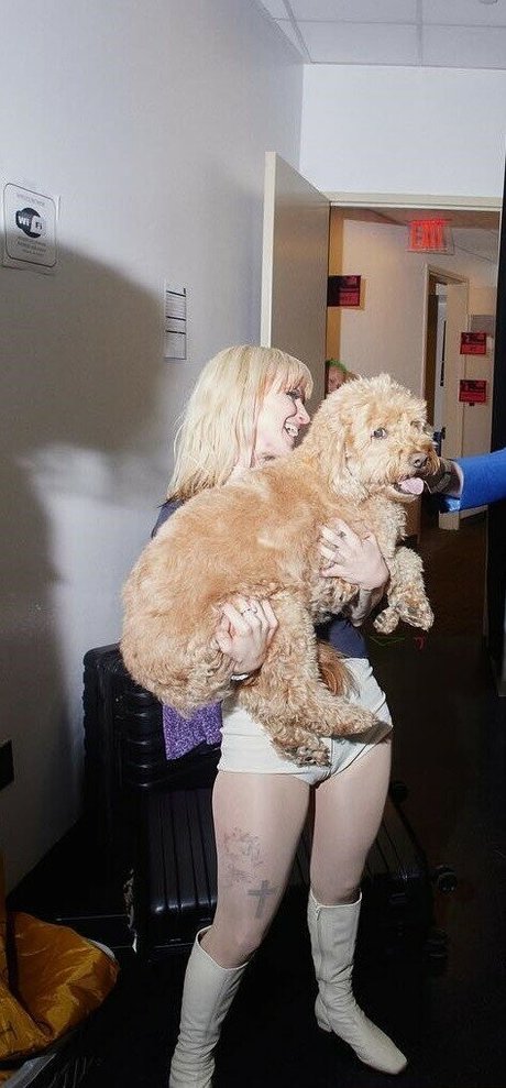 Hayley Williams erwachsene perfekte galerien