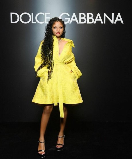 Halle Bailey pornostar hd archiv