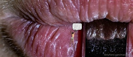 bbw-transe nur fans sexy nackt bild