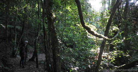 whiterabbitsx heiße kostenlose galerie