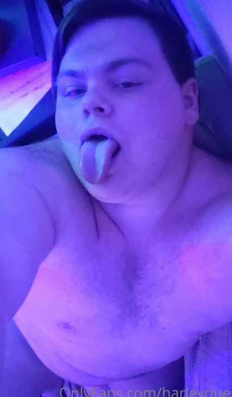 harleyque perfekte kunst galerien