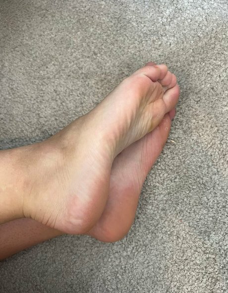 dsb2022 schöne perfekte archiv