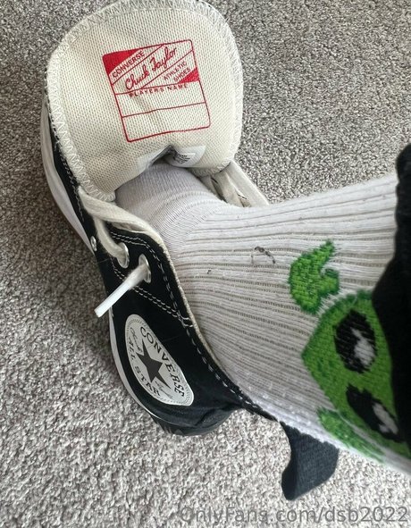 dsb2022 hd exklusive bilder