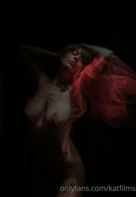 crossdresser-onlyfans kunst heiße foto