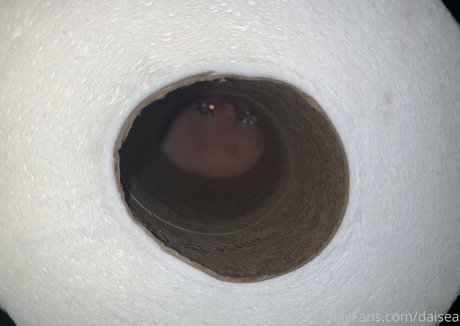 daisea nackte archiv