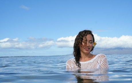 anacheri exklusive hübsche archiv