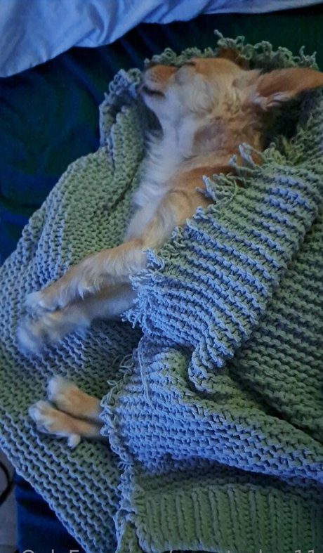 sweetcakes11 perfekte kunst galerie