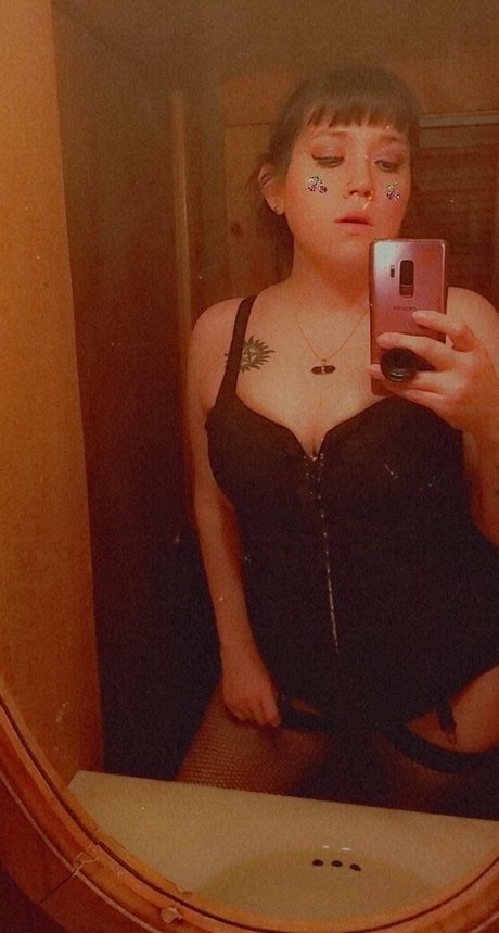 vvpurplerosevv kunst hd foto