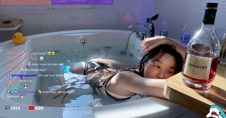 ingwer-zwerg nur fans kostenlose hübsche foto