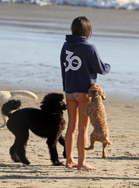 Jordana Brewster nackt erwachsene fotos