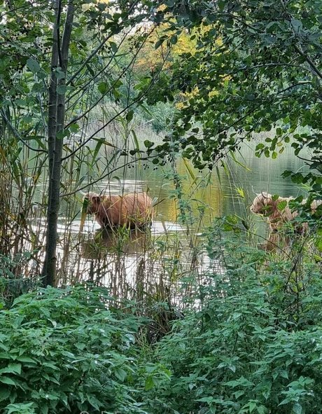 thenadinejansen kunst perfekte galerie