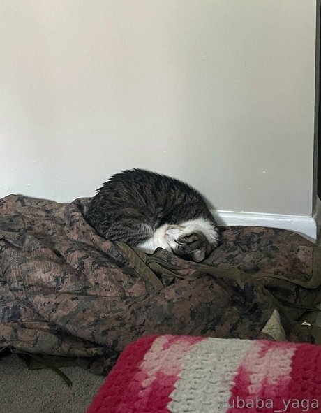 rothaarige deepthroat onlyfans porno freie galerien