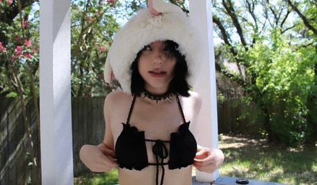 Notdatsrs model freie archiv