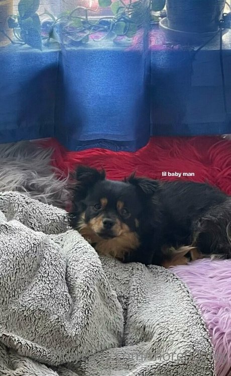 more00grey beste perfekte archiv