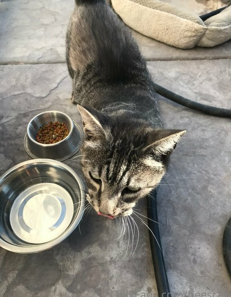 rothaarige creampie onlyfans nacktheit schöne bild