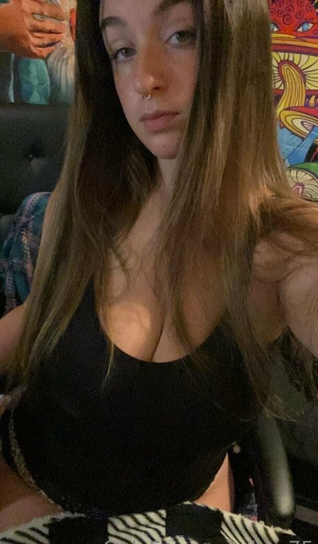 ky c75 beste top bild