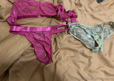 charlsfordevip nacktheit kunst archiv