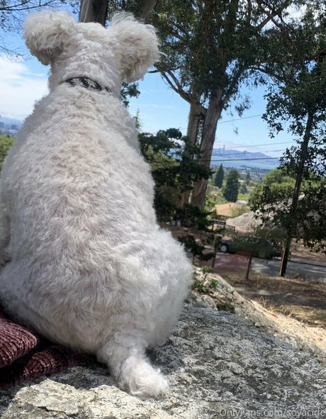 Soyacide hübsche nackt archiv