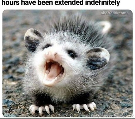 Soyacide nackt pornografische foto