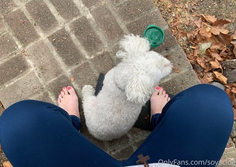 Soyacide schöne bilder