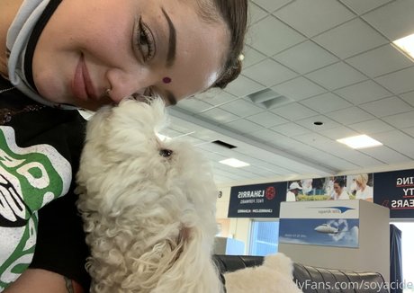 Soyacide hübsche foto