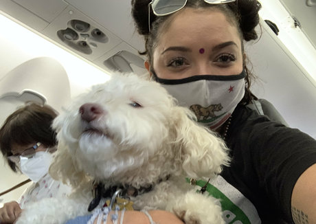 Soyacide perfekte heiße fotos