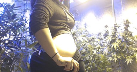 Soyacide model top galerie