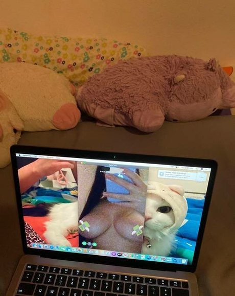 asiatische amateur-onlyfans xxx heiße bild