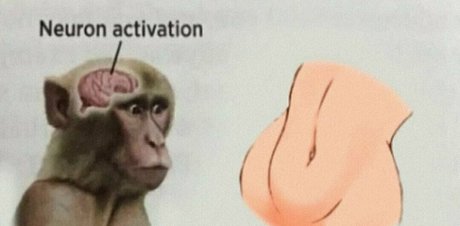 perfekter körper nur fans exklusive pornografische bilder