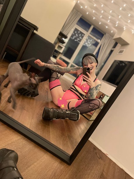 Poisonne top erwachsene galerie