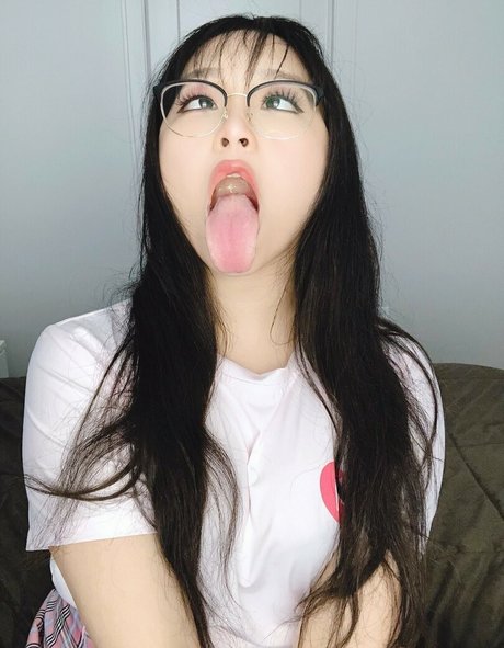 asiatische kätzchen nur fans kostenlose schöne bilder