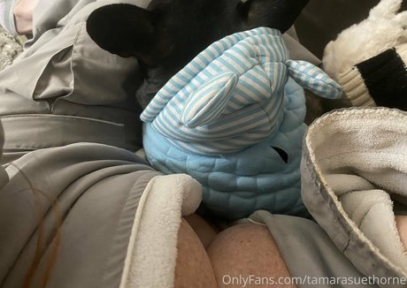 brasilianische muschi nur fans porno kostenlose bilder