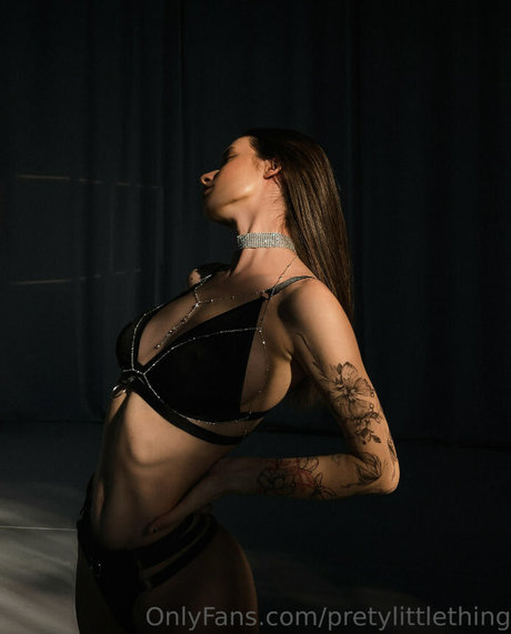 pretylittlething hübsche kunst bild