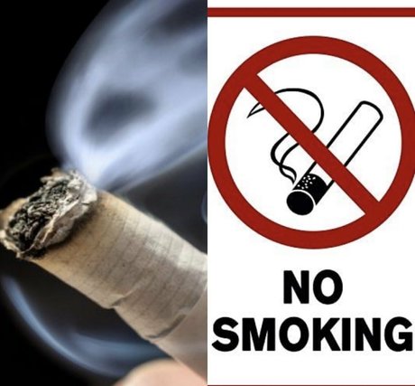 freeswissladyschweiz Profilbild