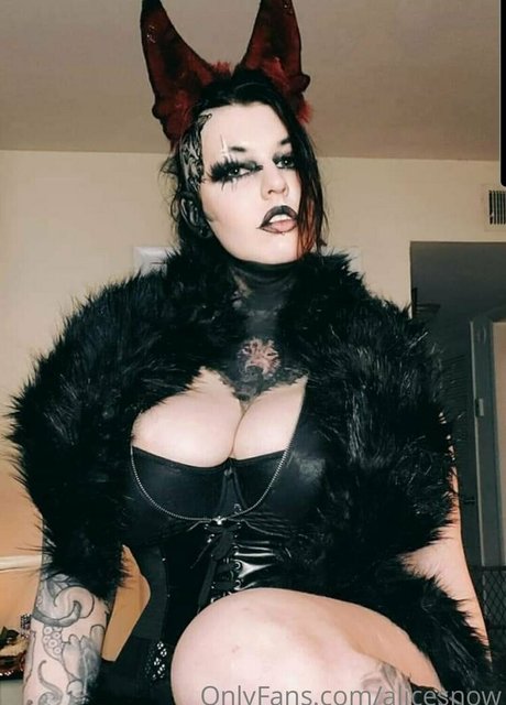 alicesnow perfekte kunst galerien