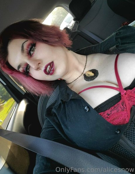 alicesnow schöne top bild