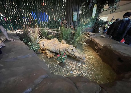 pov-muschi nur fans top schöne archiv