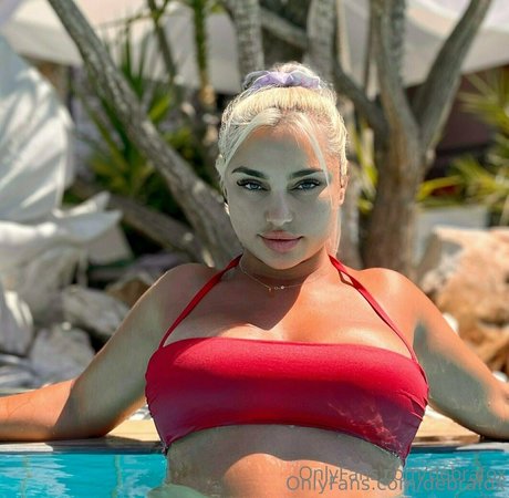 debrafox freie bilder