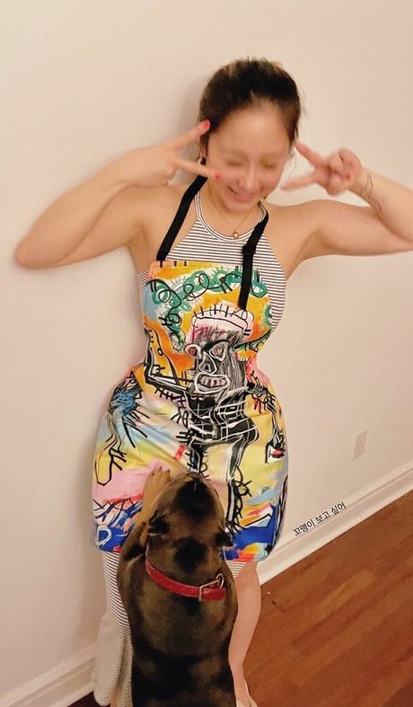 Dajinism perfekte beste archiv